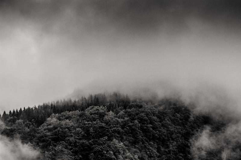 2017_06_05 (0010).jpg - Col du Marais (Juin 2017)